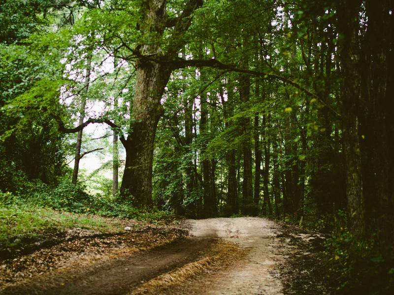 sudoku pencil marks screenshot 3